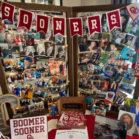 Chicken Wire Photo Frame Stands