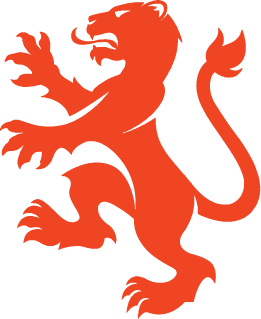 DFC - Youth Girls All Designs